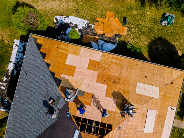 Best Roof Gutter Cleaning  in La Verne, CA